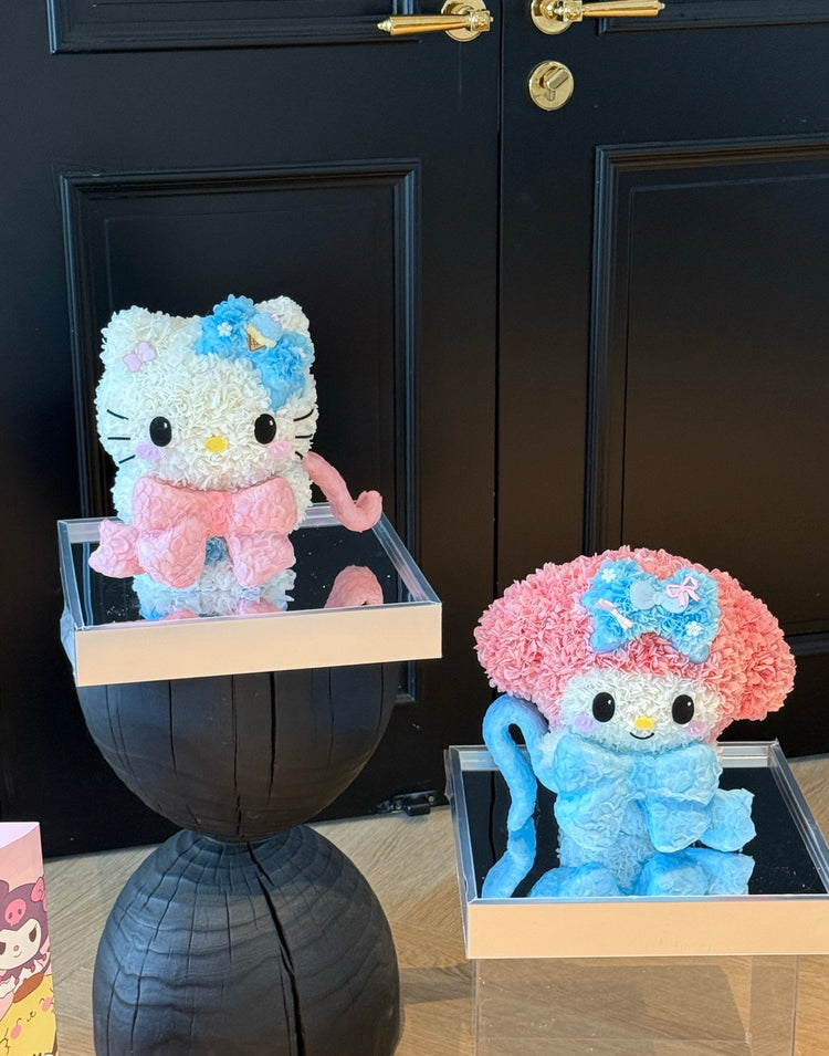 🦋KT and Melody Holding Bow Ties🎀