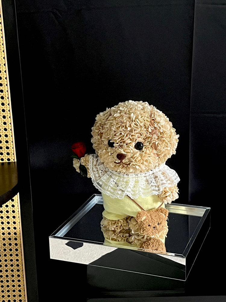 Sylvanian🌹