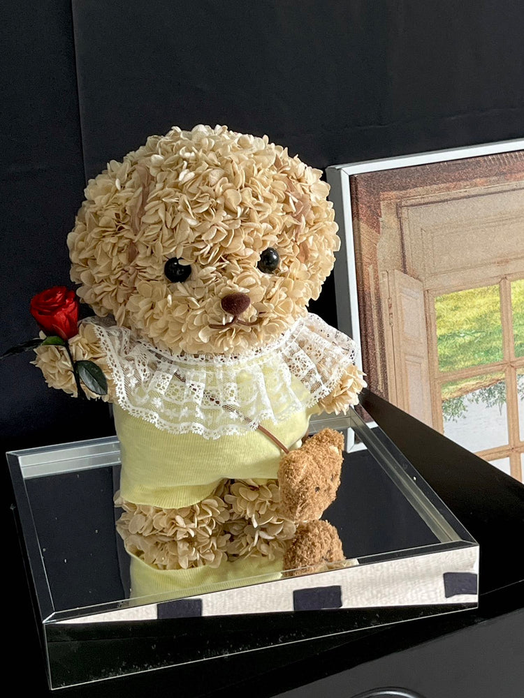 Sylvanian🌹