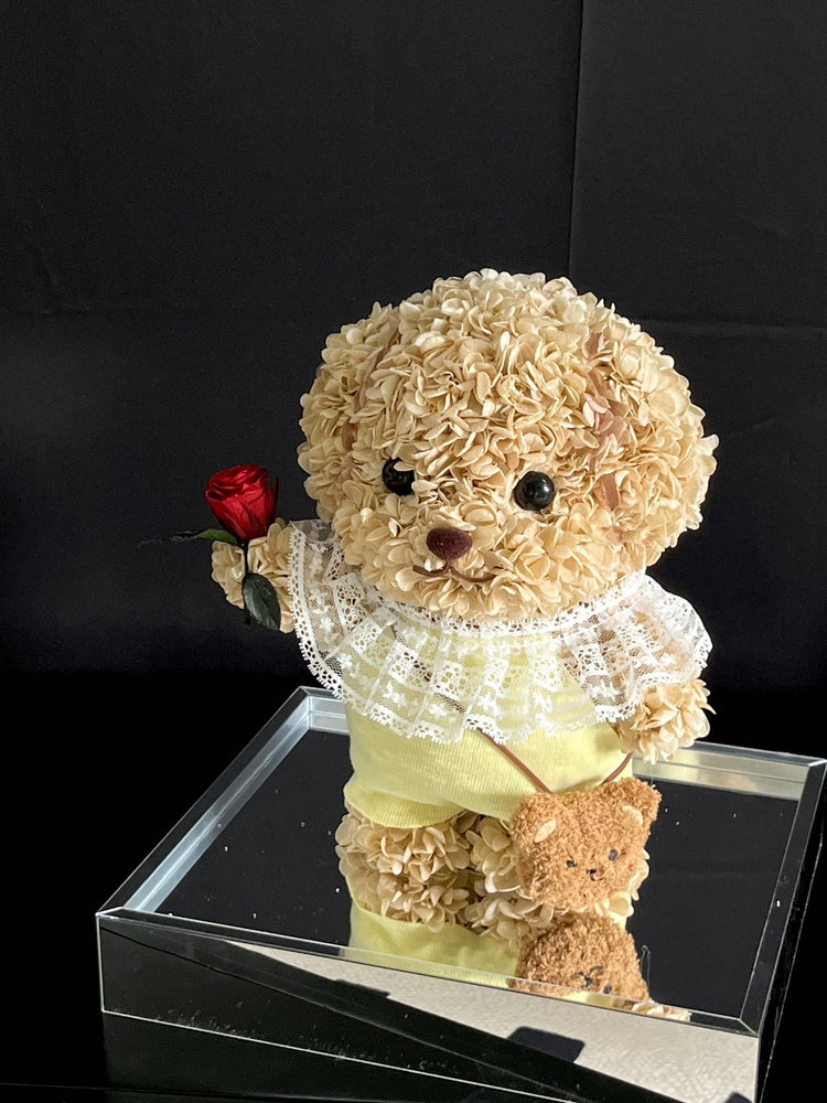 Sylvanian🌹
