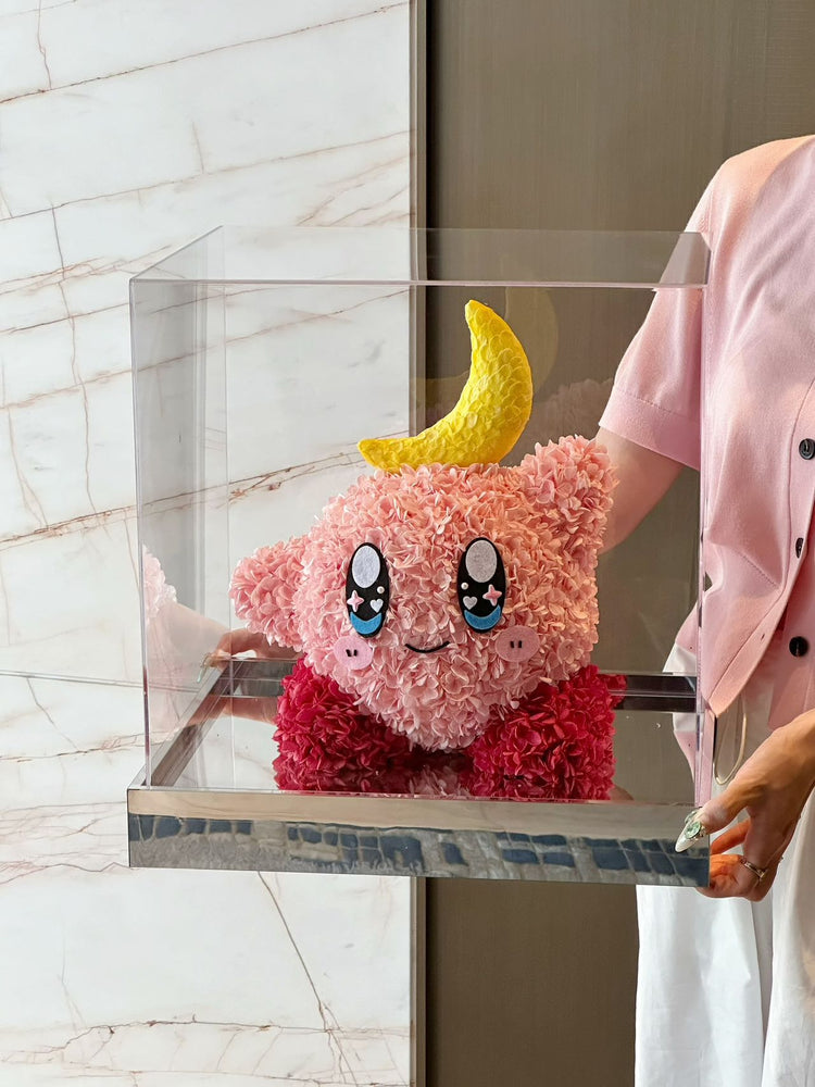 Kirby Series