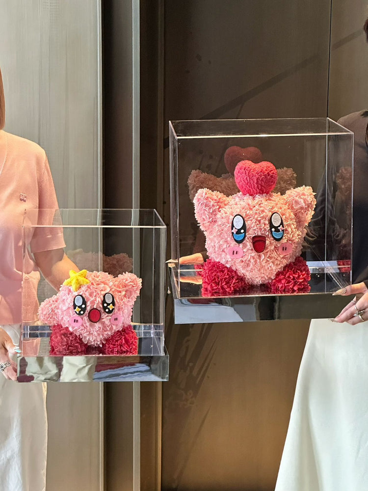 Kirby Series