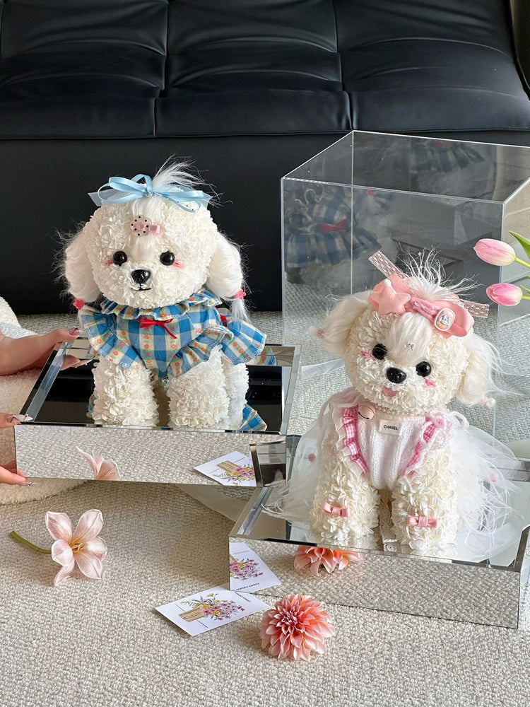 Lolita Teddy Dog💗