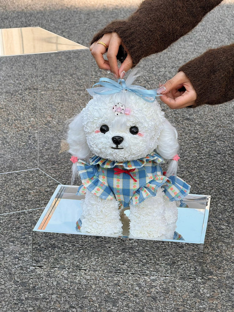 Lolita Teddy Dog💗