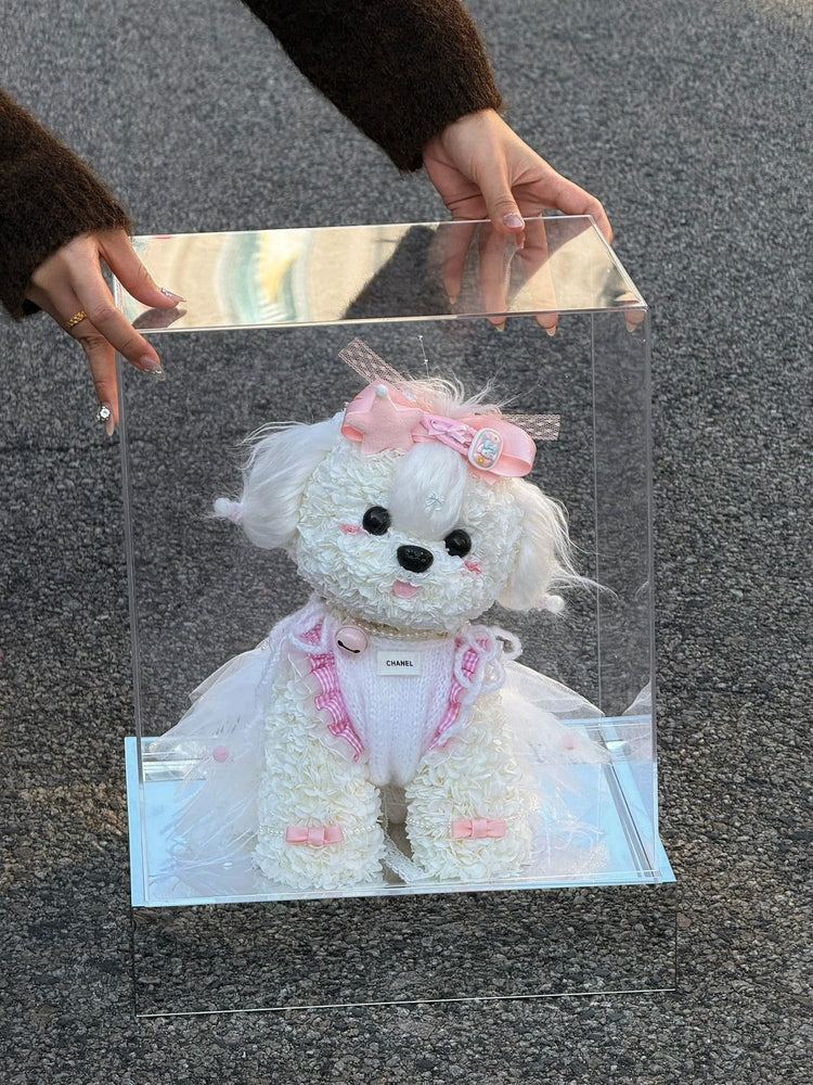 Lolita Teddy Dog💗