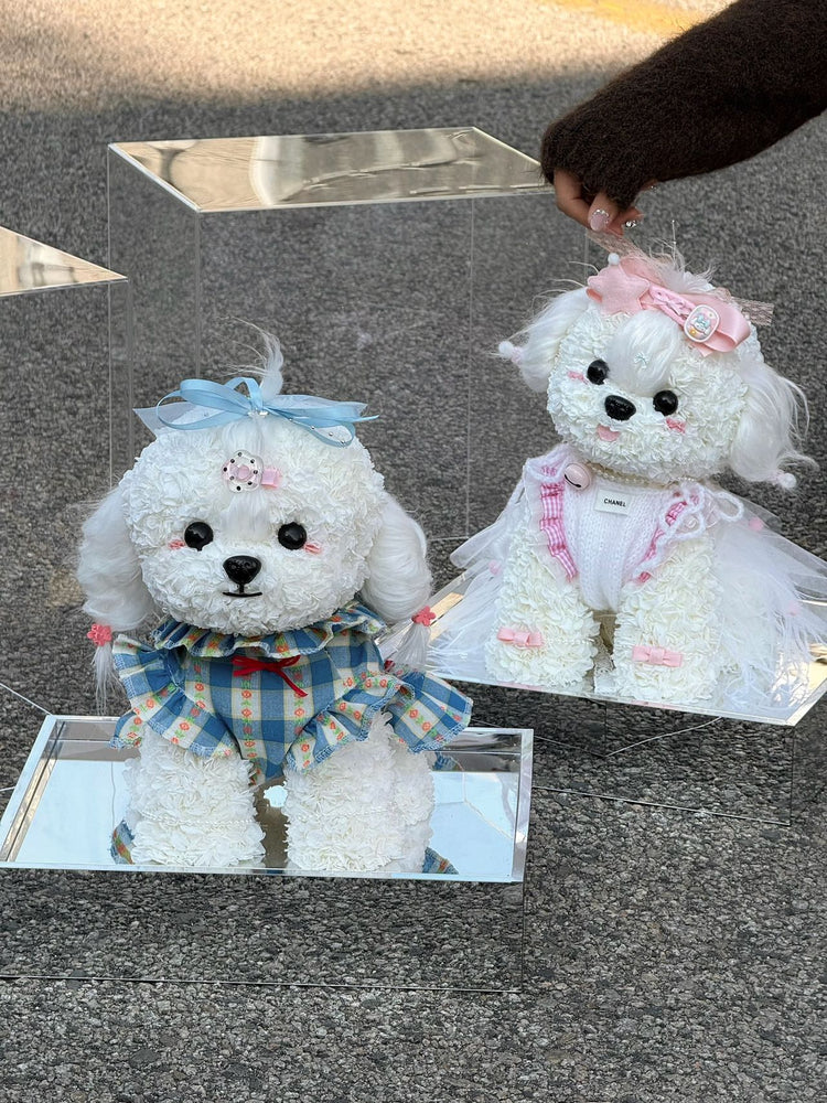 Lolita Teddy Dog💗