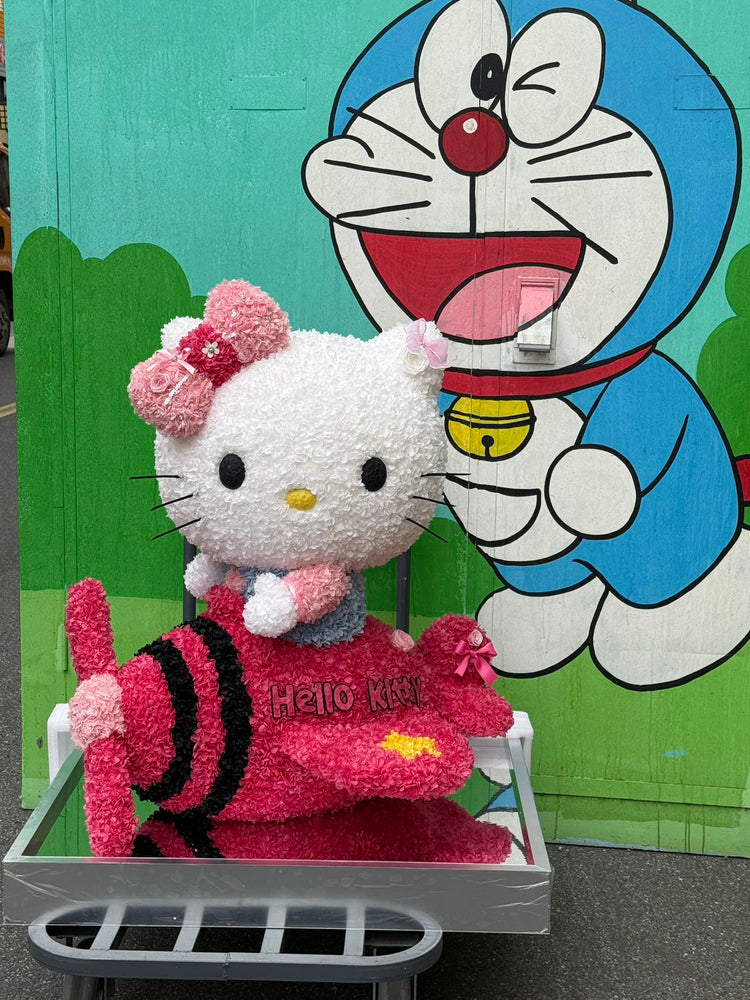 Giant Flying Plane ✈️ Hello Kitty 🩷 (1 meter)
