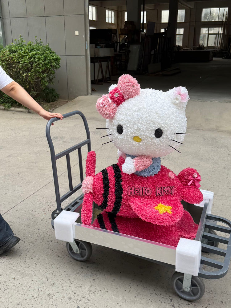 Giant Flying Plane ✈️ Hello Kitty 🩷 (1 meter)