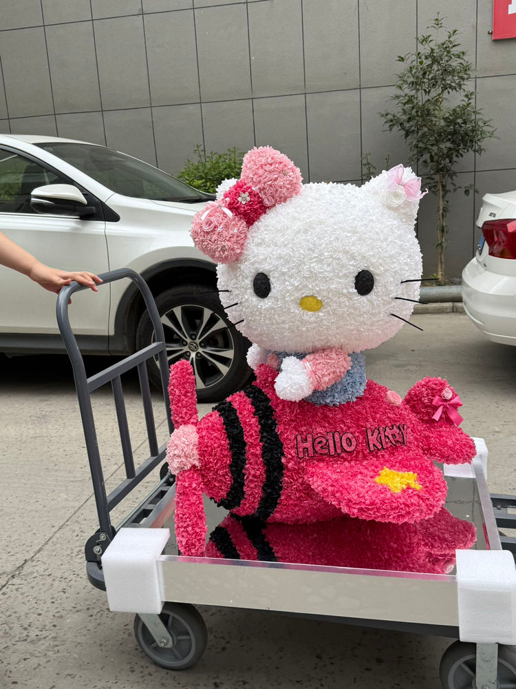 Giant Flying Plane ✈️ Hello Kitty 🩷 (1 meter)