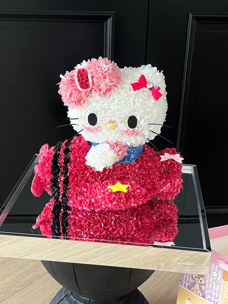 Airplane Hello Kitty✈️