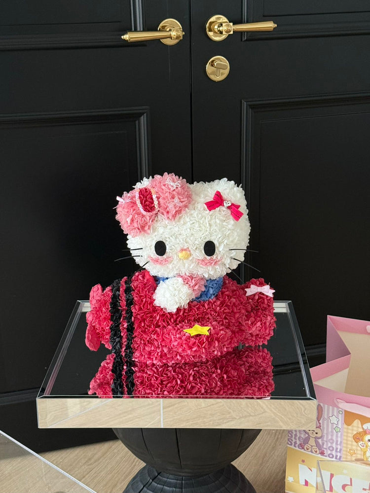 Airplane Hello Kitty✈️