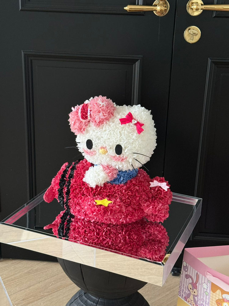 Airplane Hello Kitty✈️