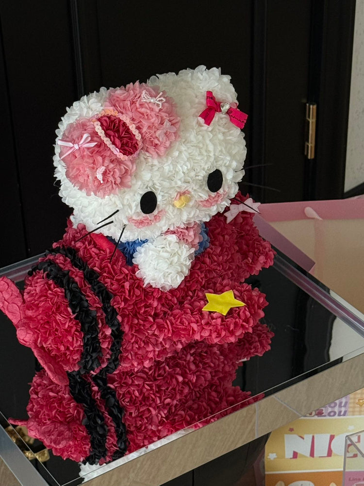 Airplane Hello Kitty✈️