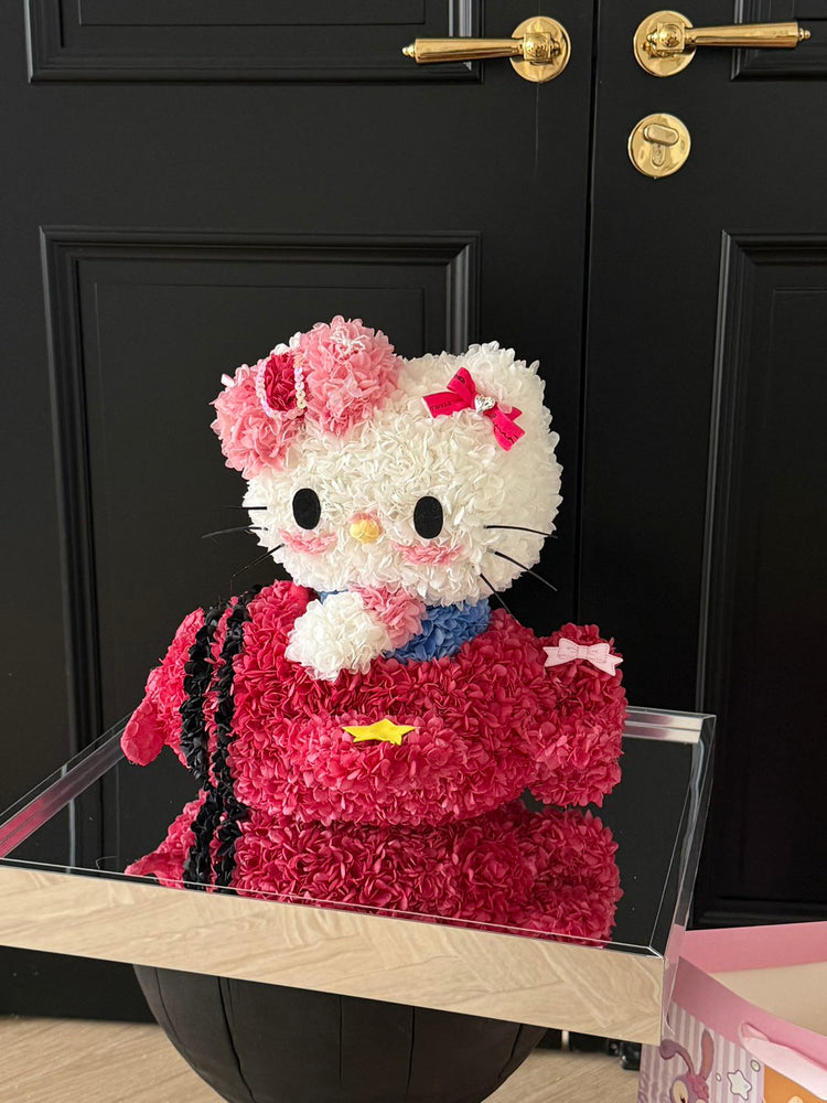 Airplane Hello Kitty✈️