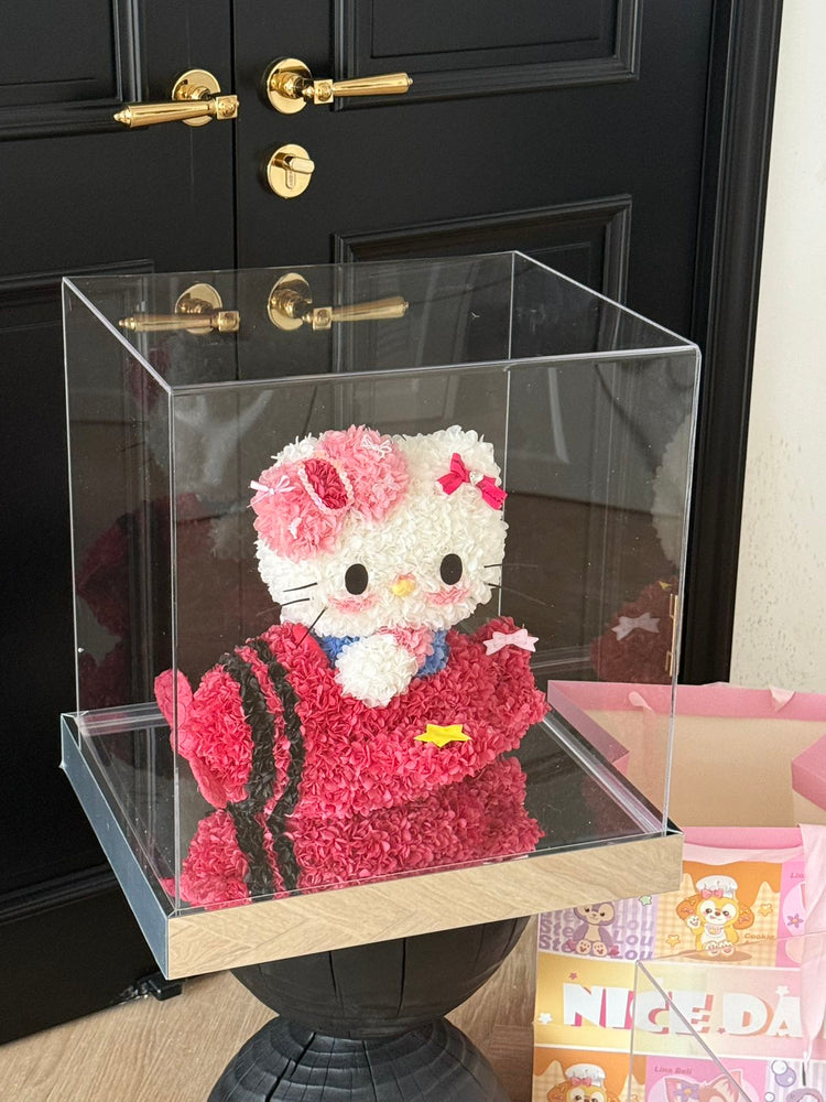 Airplane Hello Kitty✈️