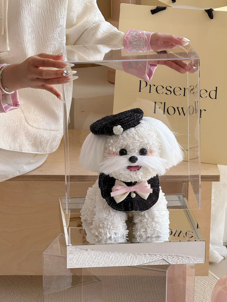 Chanel Style Dog