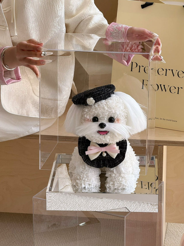 Chanel Style Dog