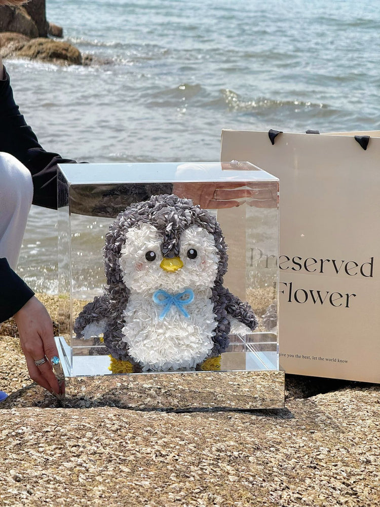 Jelly's Little Penguin