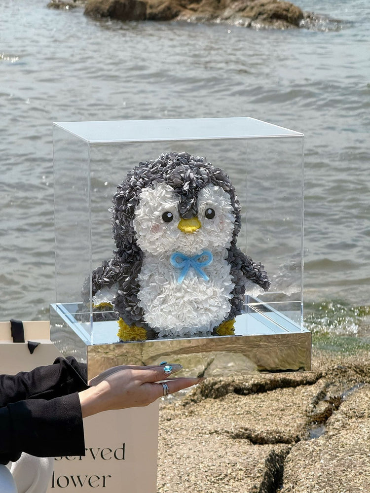 Jelly's Little Penguin