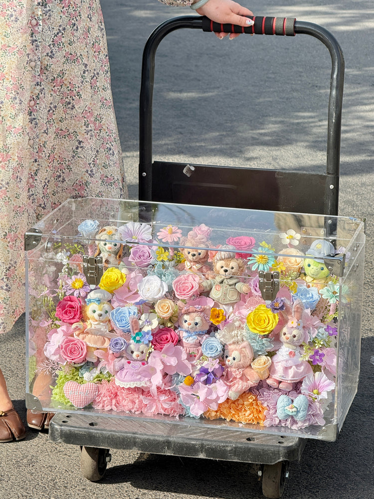 🌷🌸🌻🌱𝑫𝒊𝒔𝒏𝒆𝒚 Rainbow Toy Garden🌺🪻🌼