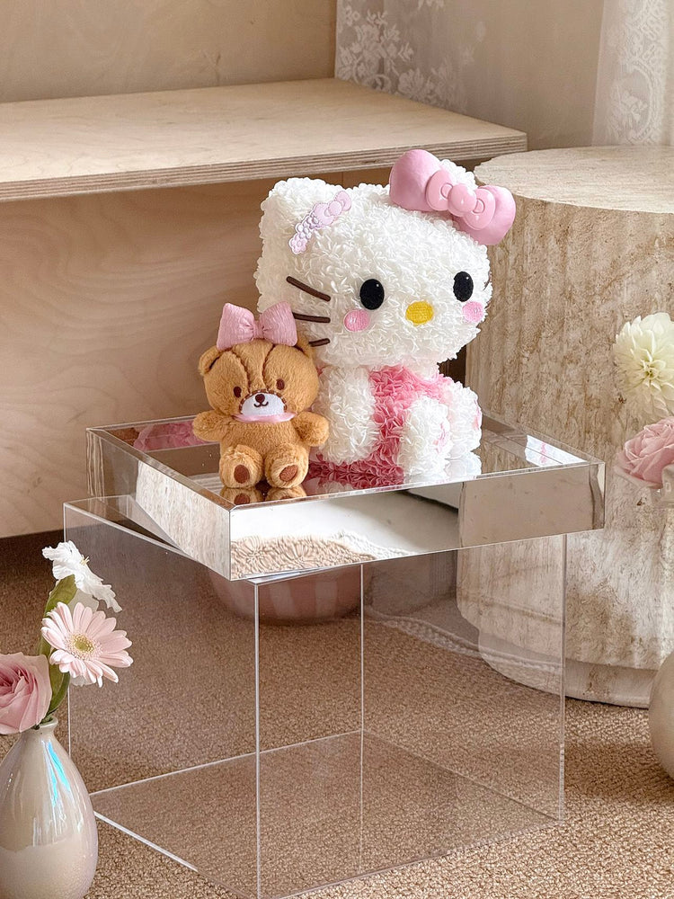 🤲🏻Kitty and Her Friends
