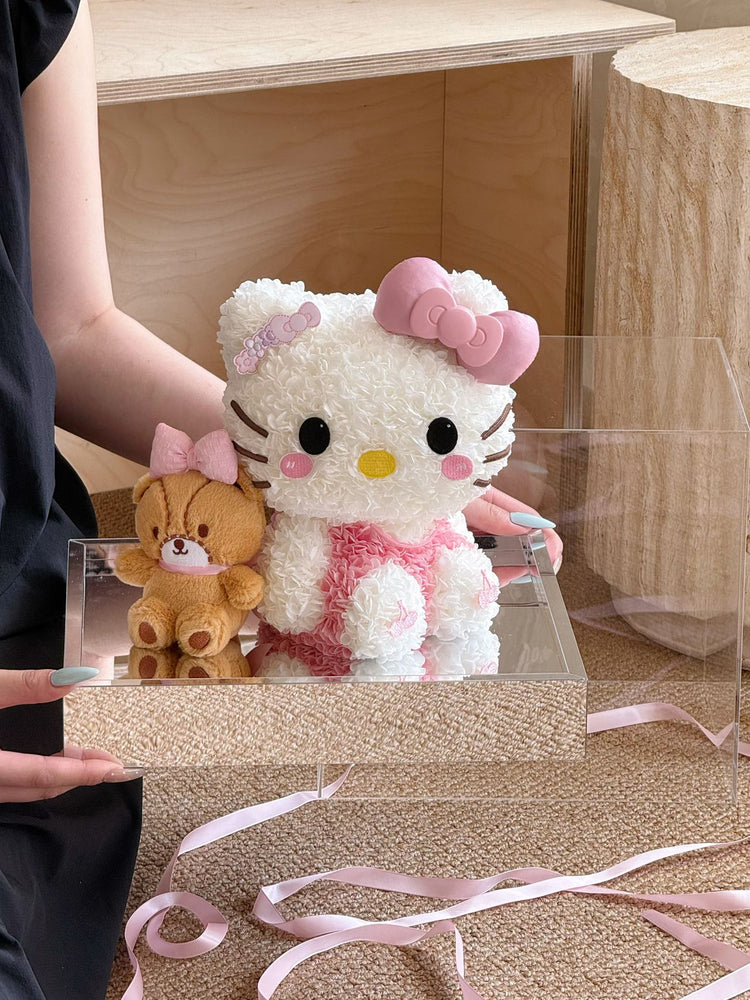 🤲🏻Kitty and Her Friends