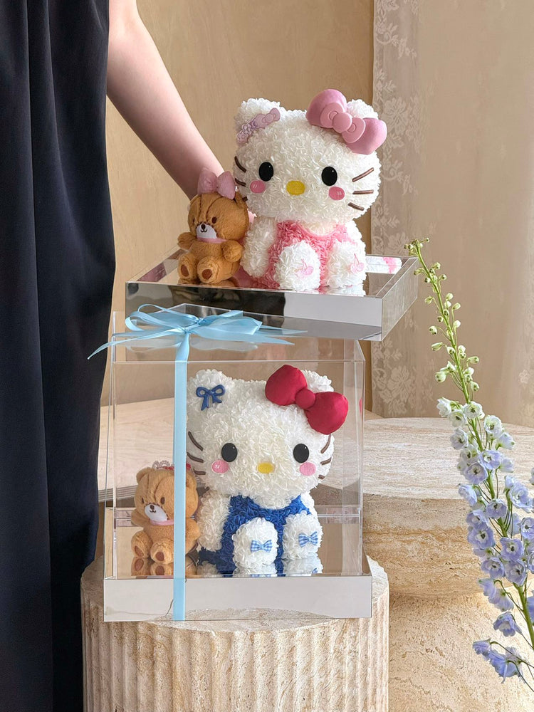 🤲🏻Kitty and Her Friends