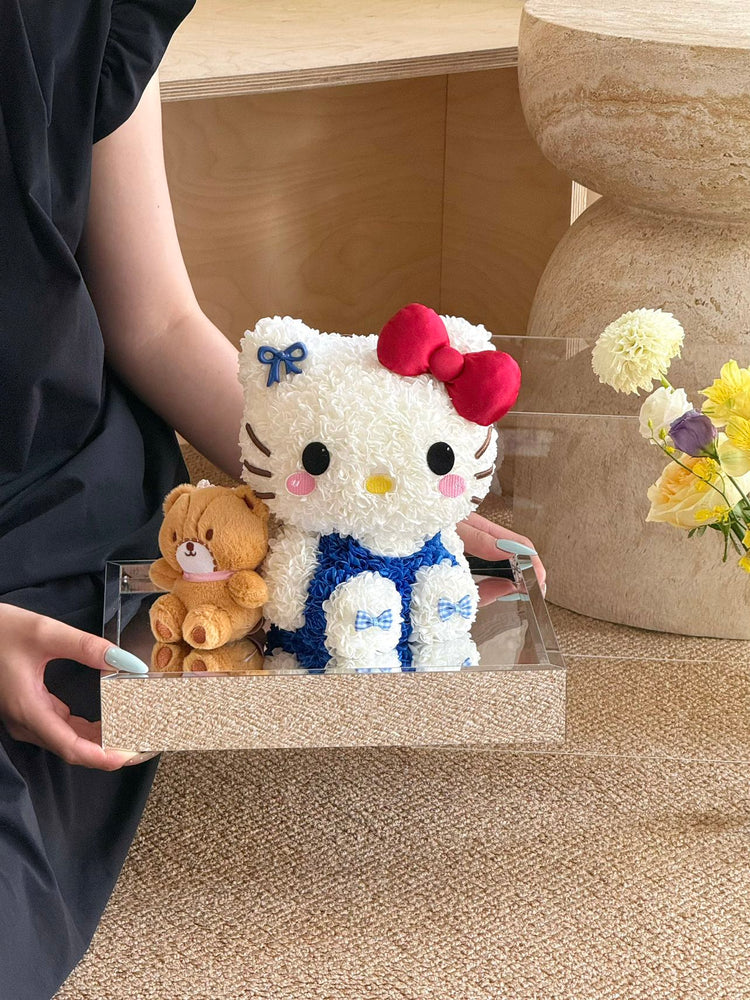 🤲🏻Kitty and Her Friends