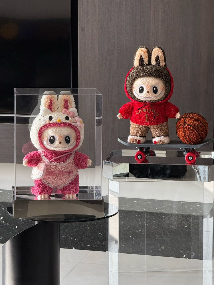 🎀🎀🎀Skateboard Labubu/Large Pink Labubu