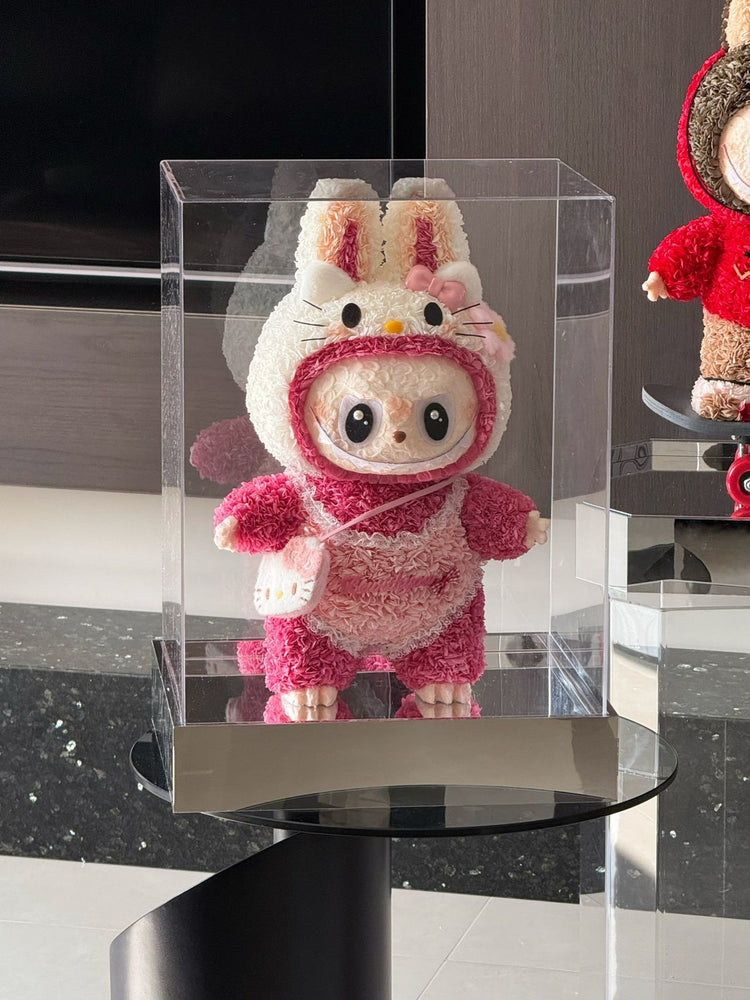 🎀🎀🎀Skateboard Labubu/Large Pink Labubu