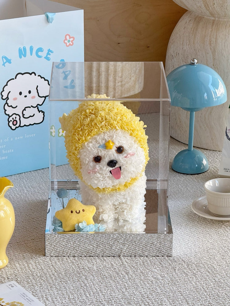 🌟Twinkle Twinkle Headgear Dog🐶