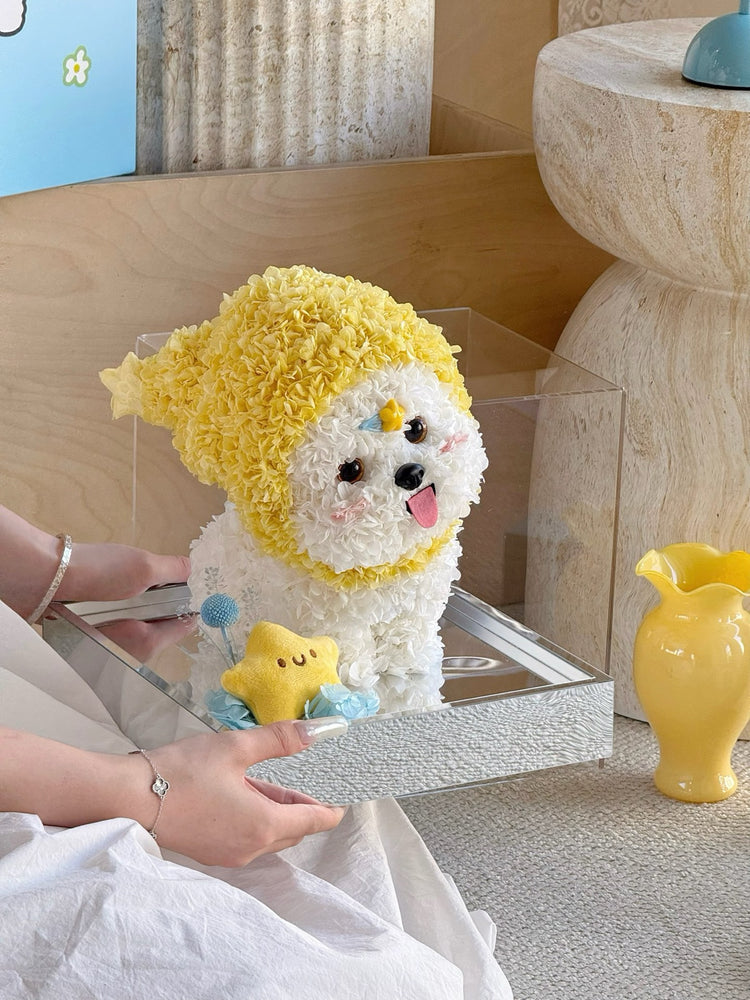 🌟Twinkle Twinkle Headgear Dog🐶