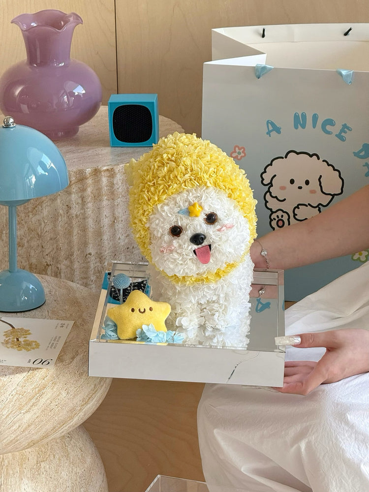 🌟Twinkle Twinkle Headgear Dog🐶
