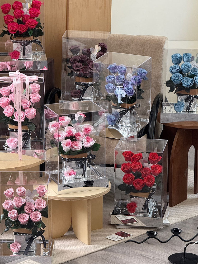 Romantic Forever – 11 Eternal Roses