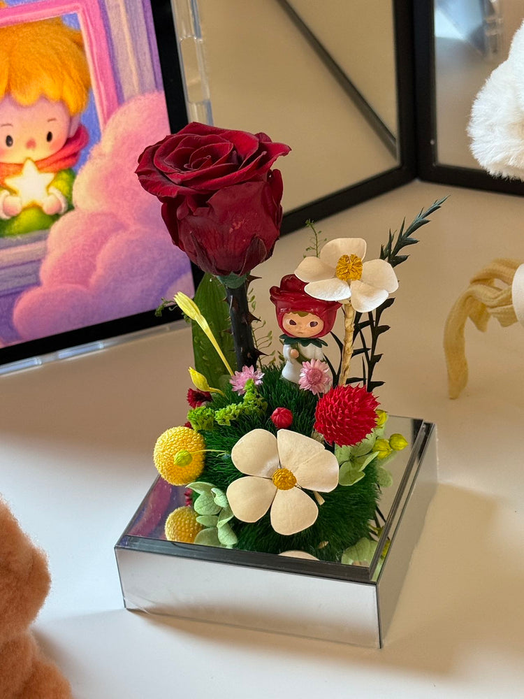 🌹The Little Prince Garden Gift Box
