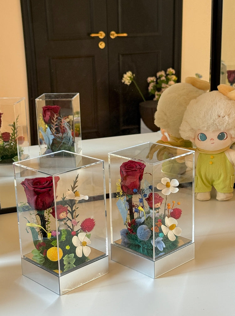 🌹The Little Prince Garden Gift Box