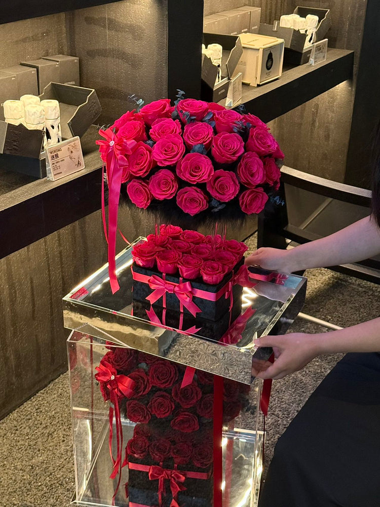 𝓑𝓮𝓵𝓸𝓿𝓮𝓭 ❤️