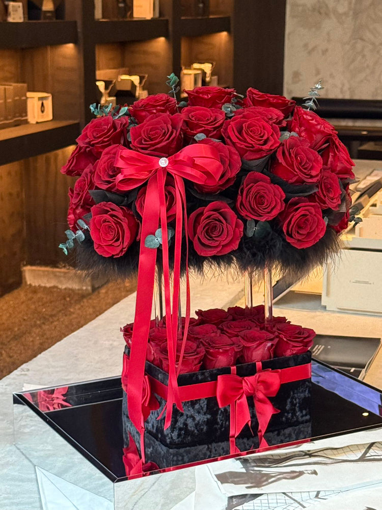𝓑𝓮𝓵𝓸𝓿𝓮𝓭 ❤️